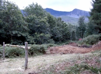 Views from wood entrance