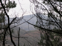 Coed Y Glyn - Valley Wood - SOLD photo 3
