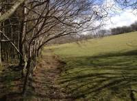 Drws y Coed