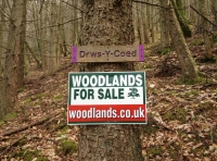 Drws y Coed