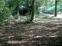 Wider part of track close to entrance to woodland