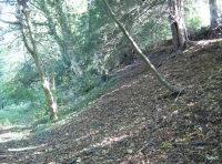 Sloping ground to the east of the main track