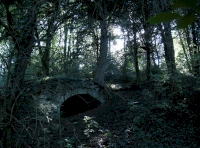 Ruin at north end of woodland