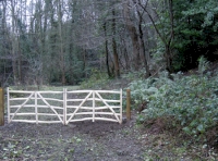 Gates at woodland entrance