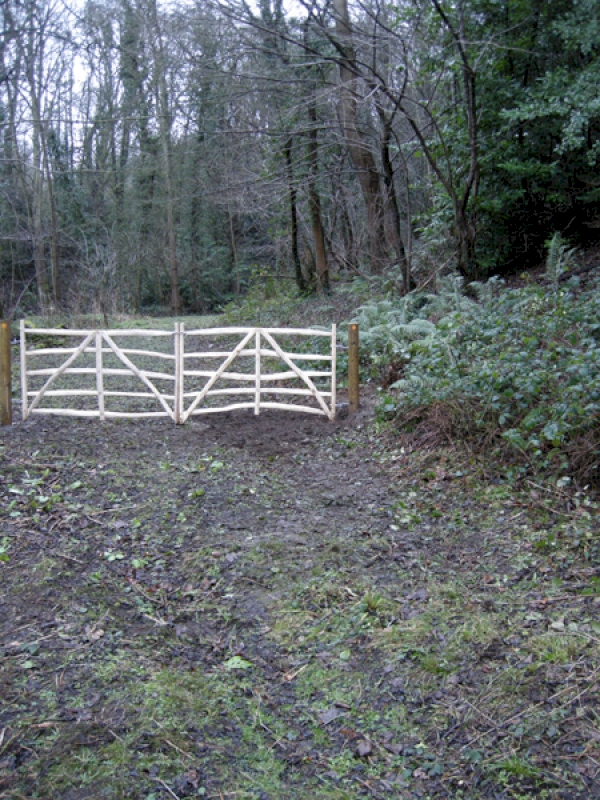 Whitford Wood - SOLD