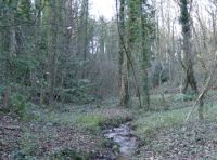Stream close to south end of the woodland