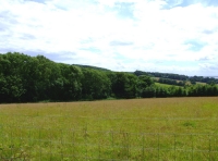 All Saints Wood - SOLD