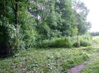 All Saints Wood - SOLD