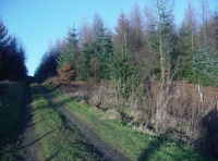 Baal Wood - SOLD photo 3
