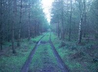 Baal Wood - SOLD photo 4