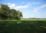 Blue Moor Meadow