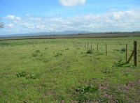 Blue Moor Meadow - SOLD photo 3