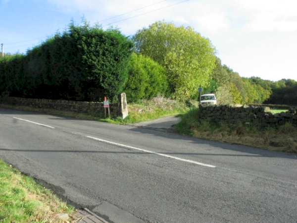Bradfield Wood - SOLD