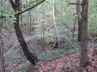 view in to millstone workings