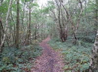 track along southwestern boundary