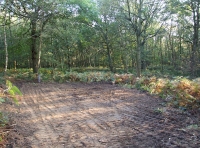 level area for parking or camping