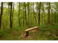 Buckholme Wood Blackhill - SOLD