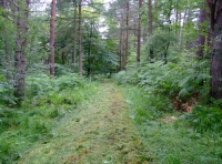 Byshottles Wood - SOLD photo 2