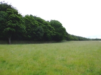 Byshottles Wood - SOLD photo 3