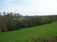 Calf Wood and meadow. - SOLD photo 8