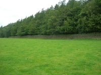 Croxdale Wood - SOLD