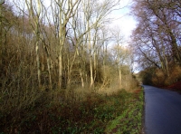 Dale Wood - SOLD