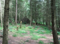 A small clearing in the larch