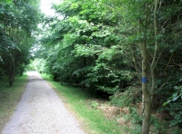 Access track along the western boundary