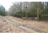 Dunston Wood - SOLD