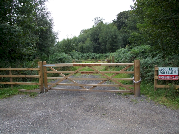 Ellars Wood