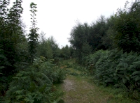 shared access track