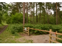 Fleet Wood - SOLD