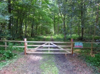 Great Sikes Wood - SOLD
