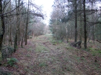 View along the north eastern boundary track