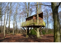 Halfpenny Wood - SOLD