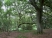 Haregil Wood
