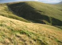 Harrop Moor