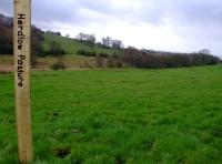 Herdlow Pasture - SOLD