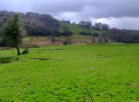 View across Herlow Pasture with Backhills in the distance.