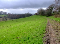 Looking along the track near the northern boundary.