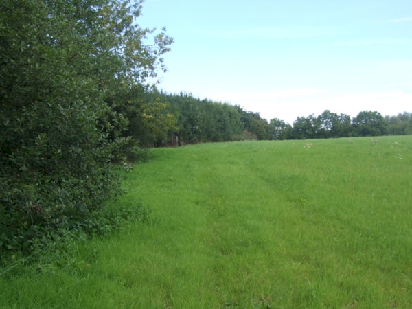 Hesley Meadow