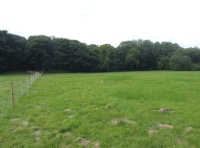 The south eastern boundary
