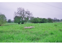 Heyfields Pasture