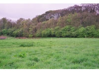Heyfields Pasture photo 2