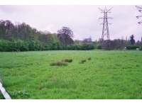Heyfields Pasture photo 3