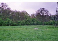 Heyfields Pasture photo 4