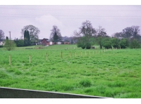 Heyfields Pasture photo 5