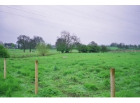 Heyfields Pasture photo 6
