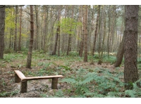 Hipper Wood - SOLD