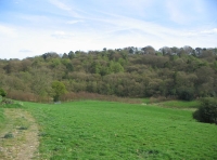 Hollands Wood - SOLD